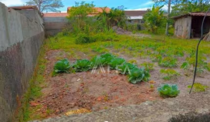 Terreno à venda, 288 m² por R$ 215.000,00 - Itajuba - Barra Velha/SC