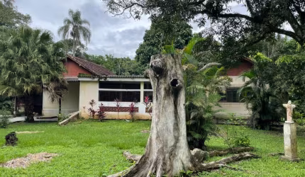 Raridade! Sítio na beira da RJ 116 - Cachoeiras de Macacu