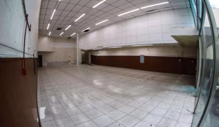 Comercial para Locação em São Paulo, Cambuci, 6 banheiros, 3 vagas