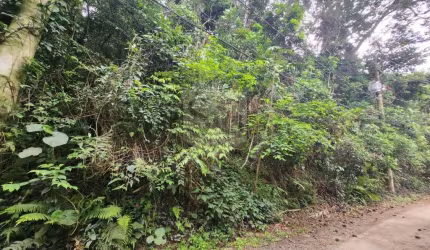 Terreno a Venda no Rivieira Paulista em São Paulo - SP