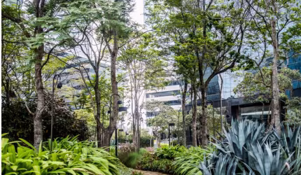Conjunto Comercial para Locar no Rochaverá em São Paulo - SP