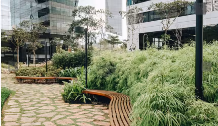 Conjunto Comercial para Locar no Rochaverá em São Paulo - SP
