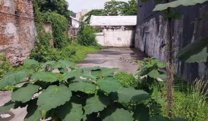 Lote ou Terreno à venda, Paquetá - Santos/SP