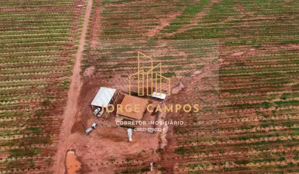 FA-2470 - BELA FAZENDA À VENDA EM CAMPINA VERDE - MG