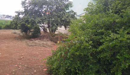 Terreno à venda, 286 m² por R$ 380.000,00 - Jardim Regina - Indaiatuba/SP