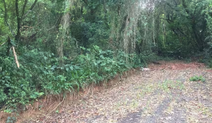 Terreno à venda, 1380 m² por R$ 200.000,00 - Monterrey - Louveira/SP