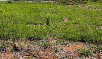 Terreno à venda, 308 m² por R$ 400.000,00 - Residencial Evidências  - Indaiatuba/SP
