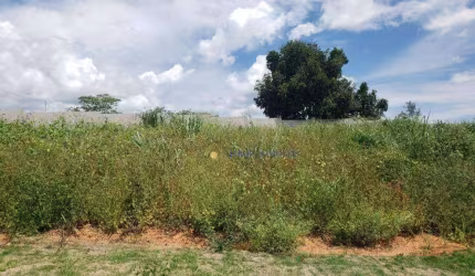 Terreno à venda, 300 m² por R$ 286.200,00 - Capivari - Louveira/SP