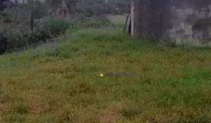 Terreno à venda, 1000 m² por R$ 430.000,00 - Recanto Campestre Internacional de Viracopos Gleba 6 - Indaiatuba/SP