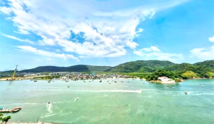 Apartamento com 3 quartos à venda em Ponta Da Praia - SP