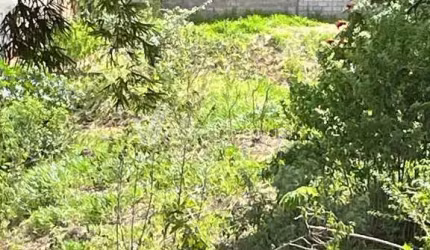 Terreno à venda na Rua Bartira, s/nº, Vila Ipê, Campinas por R$ 900.000