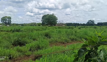 -Linda Fazenda com toda infraestrutura para criação gado.