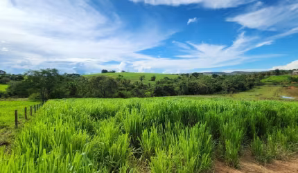 -Fazenda 10hectares, excelente localização, terra cultura, dupla aptidão chácara, rica em agua