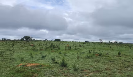 -Fazenda, localização privilegiada, para gado, terra boa, rica em água, nascentes, barragens, casa sede e de apoio oportunidade de negócio