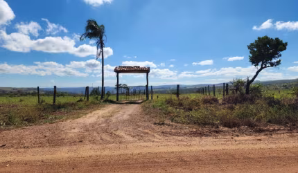 -Vendo excelente Fazenda cocalzinho, Girassol, a 60km de Brasília