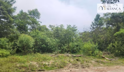Terreno à venda, 3260 m² por R$ 250.000,00 - Parque das Garças - Santo André/SP
