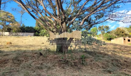 Terreno Lote em Jardim das Paineiras, Águas da Prata/SP