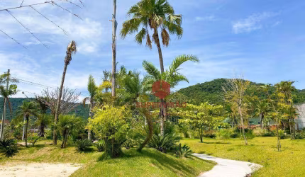 Terreno à venda, 459 m² por R$ 490.000,00 - Vargem Do Bom Jesus - Florianópolis/SC
