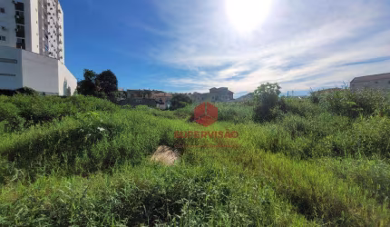 Terreno à venda, 6732 m² por R$ 6.732.690,00 - Passa Vinte - Palhoça/SC
