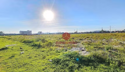 Área à venda, 5748 m² por R$ 5.403.120,00 - Sertão do Maruim - São José/SC