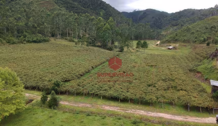 Chácara à venda 3,937 m² por R$ 680.000 - Pinheiral - Major Gercino/SC