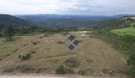 Área à venda, 2000 m² por R$ 1.999.000,00 - São Luiz do Puruna - Balsa Nova/PR