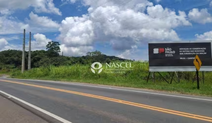OPORTUNIDADE IMPERDÍVEL! TERRENO COMERCIAL À VENDA