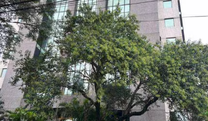 Conjunto para alugar, 40 m² por R$ 2.279/mês - Lapa - São Paulo/SP