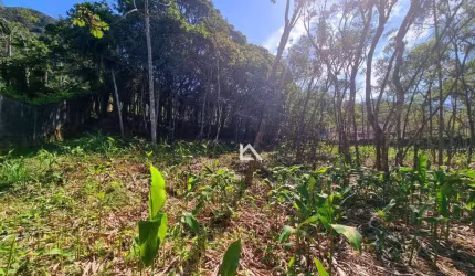 Terreno à venda, 4430 m² por R$ 1.200.000,00 - Carlos Guinle - Teresópolis/RJ