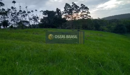 Fazenda em Br 367 - Santa Cruz Cabrália, BA