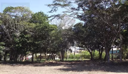 Terreno em Tabapiri - Porto Seguro, BA