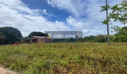 Fazenda em Br 367  -  Santa Cruz Cabrália