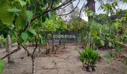 Fazenda em Santa Cruz Cabrália - Santa Cruz Cabrália, BA