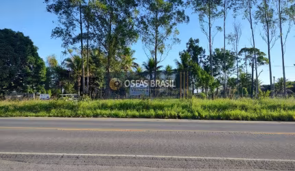 Fazenda em Br 367  -  Porto Seguro