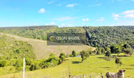 Fazenda em Vale Verde  -  Porto Seguro