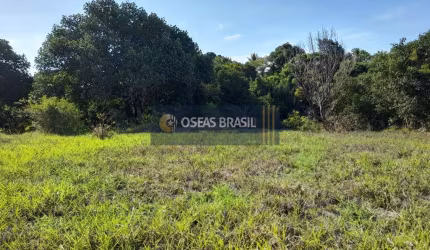 Fazenda em Juca Rosa - Eunápolis, BA