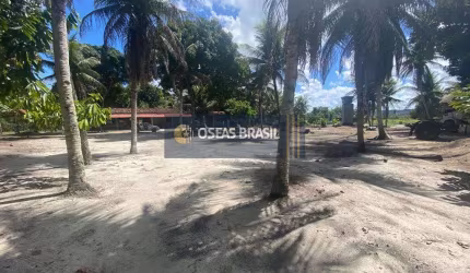 Fazenda em Ba 001 - Porto Seguro, BA