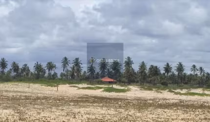 Fazenda em Belmonte - Belmonte, BA