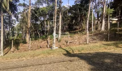 Terreno à Venda, Nova Califórnia, Juiz de Fora, MG