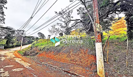 Terreno para venda tem 2.500m² em Simão Pereira - MG com platô pronto para construir