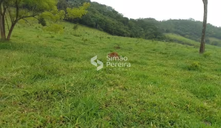 Sitio à venda, Rural, Ewbank da Câmara, MG