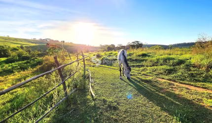Sítio à venda, São Francisco de Assis, Matias Barbosa, MG