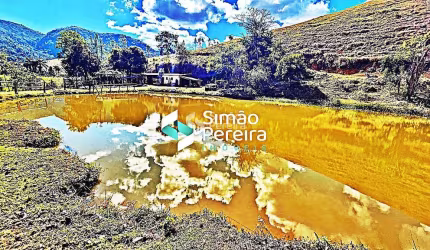 Sítio para venda com 51,6 Hectares na Zona Rural  Simão de Pereira - MG pronto para criação de gado
