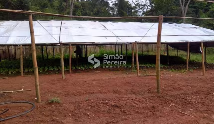 Sítio para venda com 6 Alqueires como bastante água em Simão Pereira MG