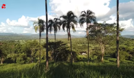 Chácara / sítio com 2 quartos à venda na Zona Rural, 200, Centro, Pirenópolis por R$ 380.000