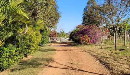 Chácara / sítio com 3 quartos à venda na Gameleira Zoa Rural, 55, Zona Rural, Gameleira de Goiás por R$ 2.100.000