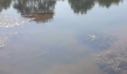 Fazenda à venda na Zona Rural, 101, Zona Rural, Cocalzinho de Goiás por R$ 3.300.000