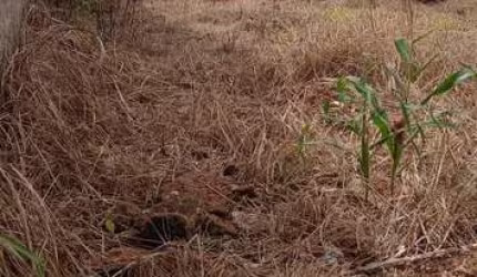 Terreno à venda na Antônio Sabino, 2, Residencial Florença, Anápolis por R$ 130.000