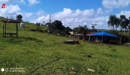 Chácara / sítio à venda na Av. Amazonas, 5, Área Rural de Planaltina, Planaltina por R$ 550.000