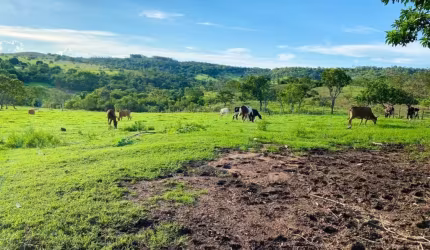 Chácara / sítio à venda na Zona Rural  1, 500, Zona Rural, Abadiânia por R$ 1.200.000